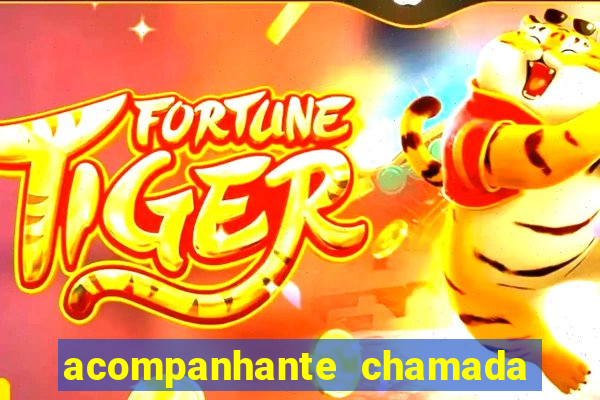 acompanhante chamada de video